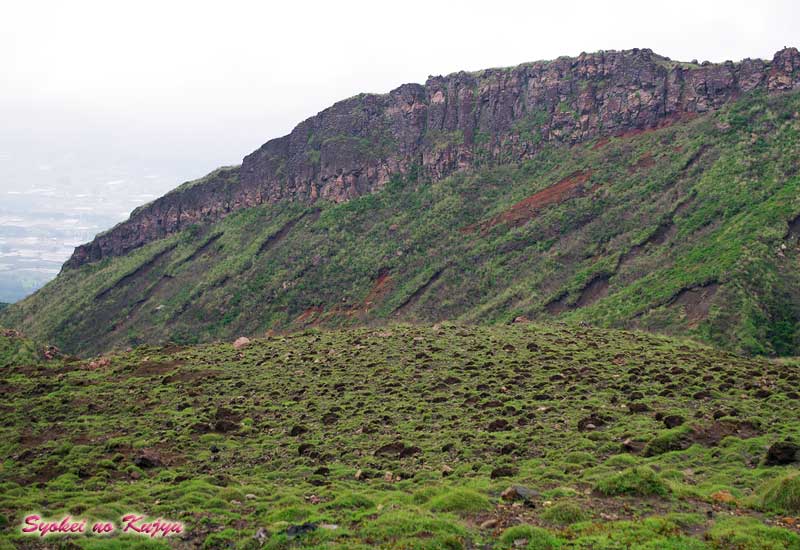 f0173067_1522967.jpg