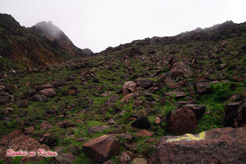 f0173067_15234410.jpg