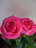 豊かな時間 _d0240469_1639295.jpg