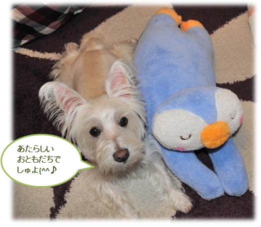 b0242873_0543428.png