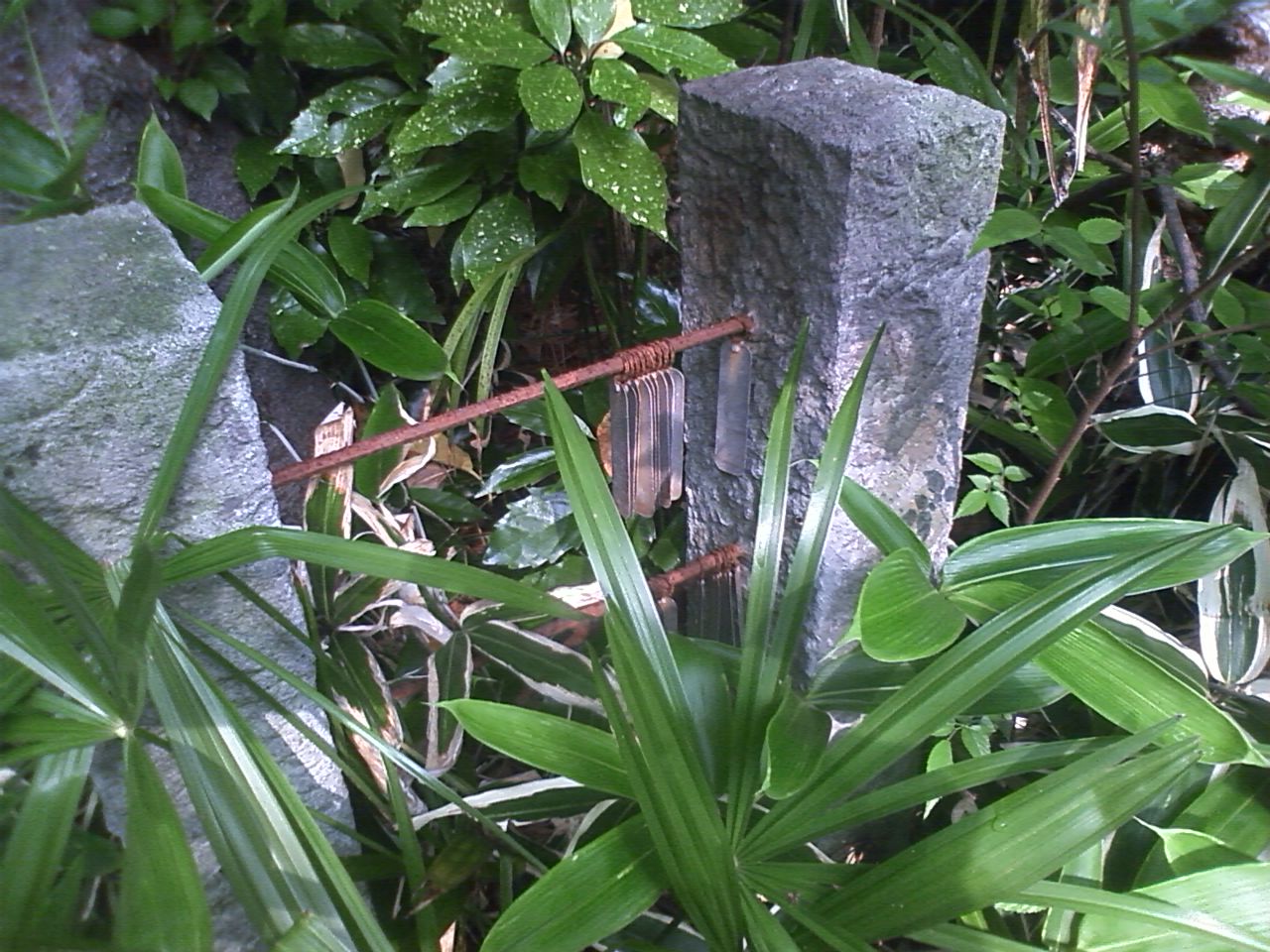 e0178884_13364817.jpg