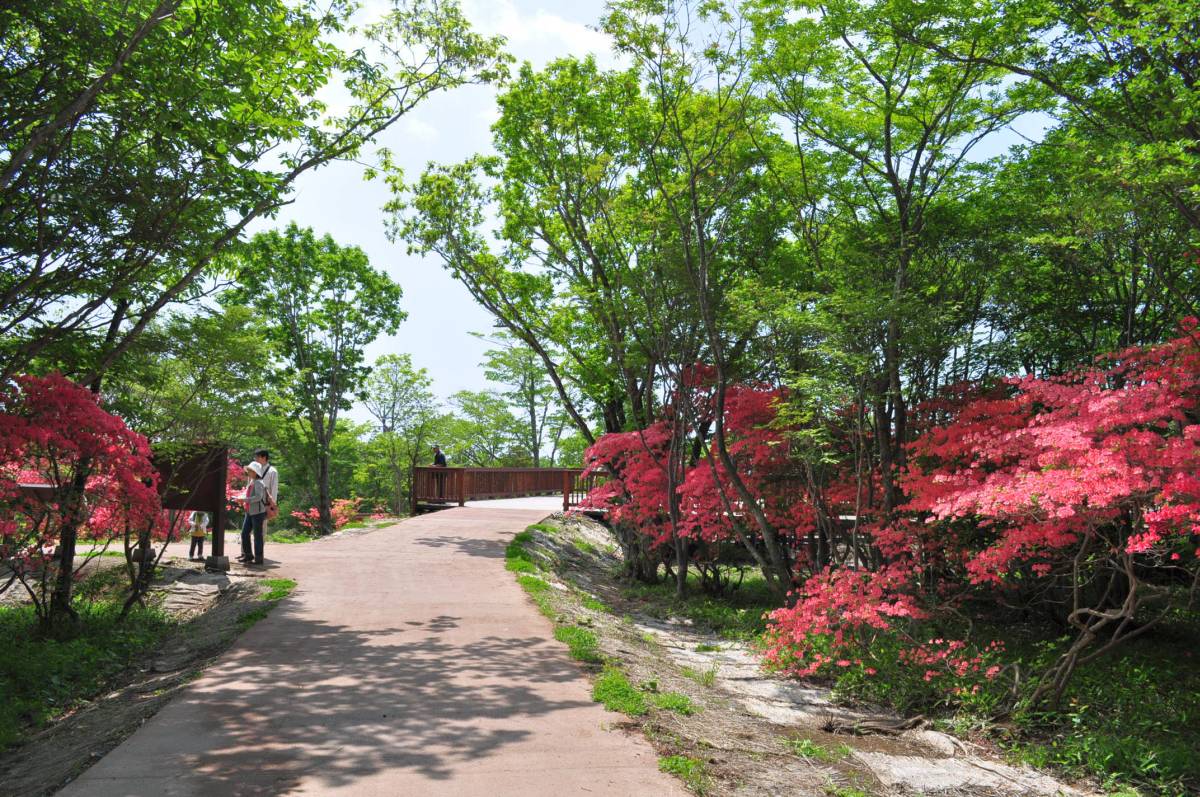 a0011690_172724100.jpg