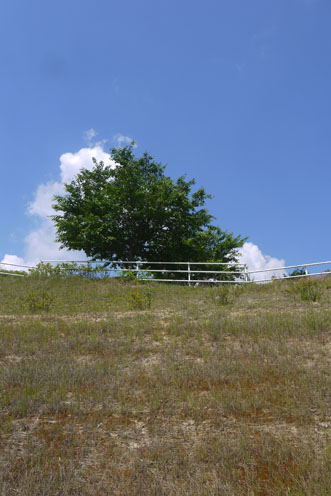 f0222692_8482889.jpg