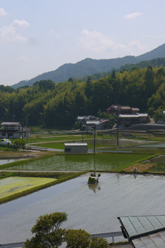 f0222692_849308.jpg
