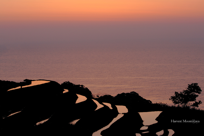 The Sign of the Sun~棚田から・・_b0208495_003353.jpg