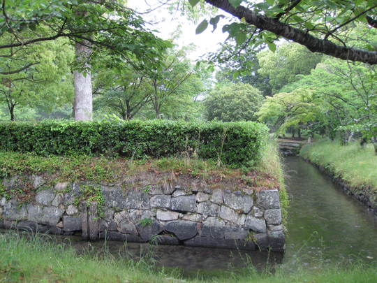 f0010195_23371043.jpg