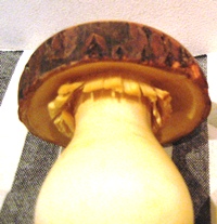 d0235796_136369.jpg
