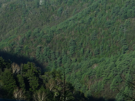e0120896_6434384.jpg