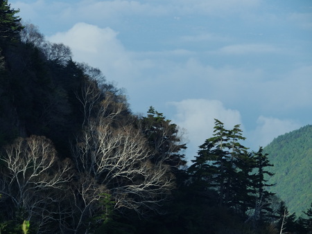 e0120896_6442148.jpg