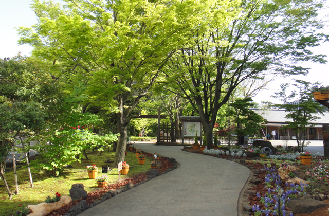 d0004301_014489.jpg