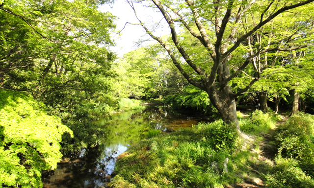 d0004301_0154554.jpg