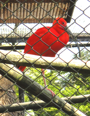 d0004301_015573.jpg