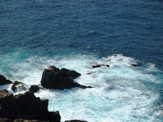 c0062603_235795.jpg