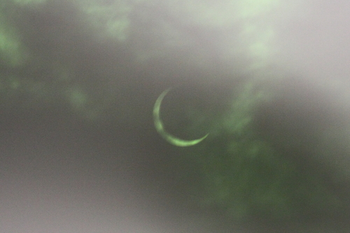 e0063003_1140486.jpg