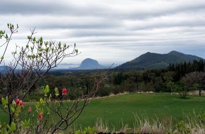 c0148705_8231668.jpg