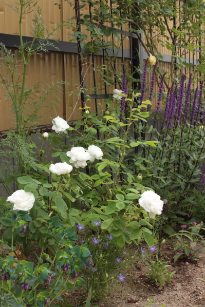d0001008_8464053.jpg