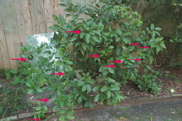 f0227709_01079.jpg