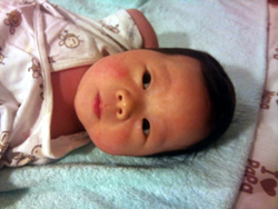 e0201210_98177.jpg