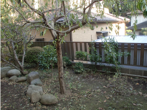 F邸外構工事_e0240310_19591818.jpg