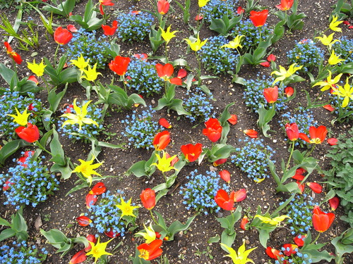 Oxford Botanic Garden_c0060412_1122154.jpg