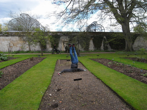 Oxford Botanic Garden_c0060412_122721.jpg
