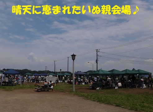 f0121712_1311236.jpg