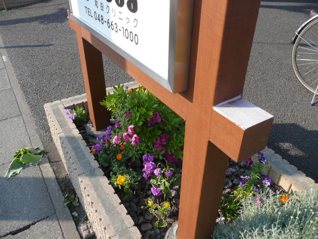 f0065815_07531.jpg