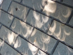 a0157619_2243322.jpg