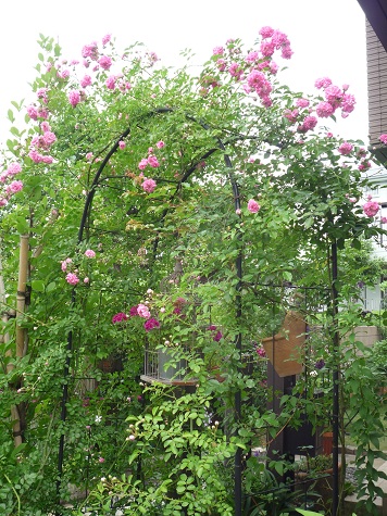 f0150620_20103640.jpg