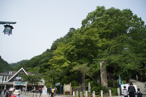 高尾山⇔陣馬山　往復28ｋｍを6時間半の歩行時間_d0156625_11431145.jpg