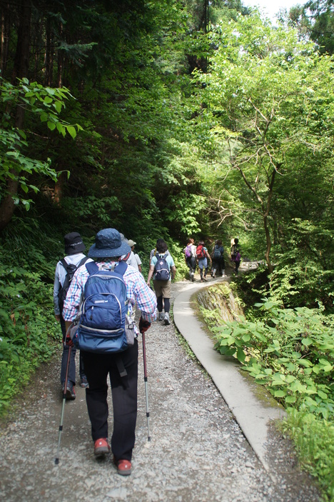 高尾山⇔陣馬山　往復28ｋｍを6時間半の歩行時間_d0156625_11481398.jpg