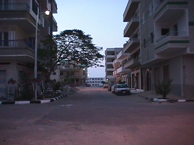 b0238426_8532882.jpg