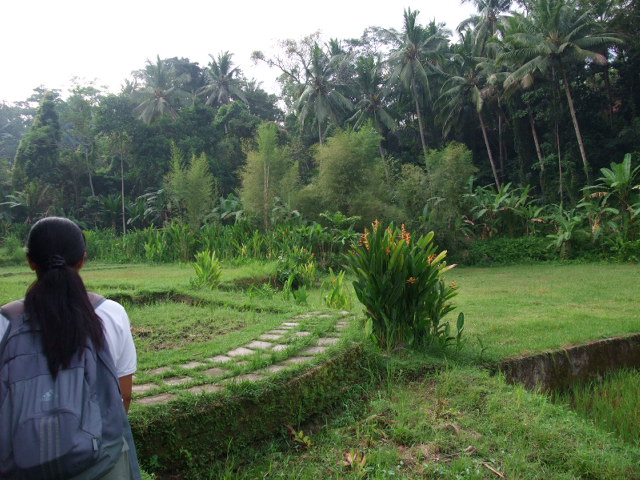 d0240534_2055239.jpg