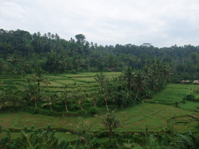 d0240534_20561519.jpg