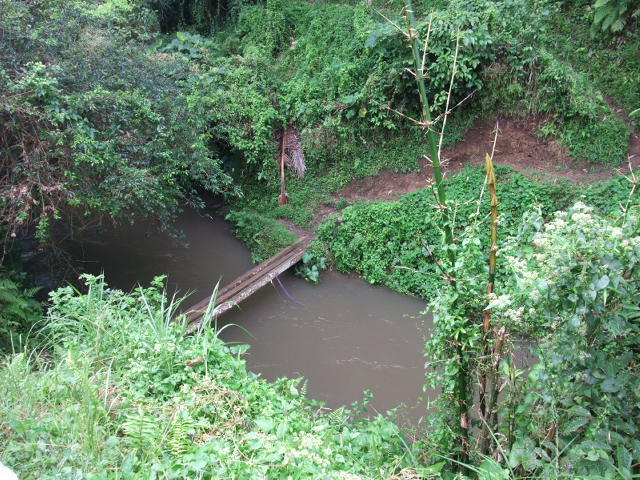 d0240534_20574734.jpg