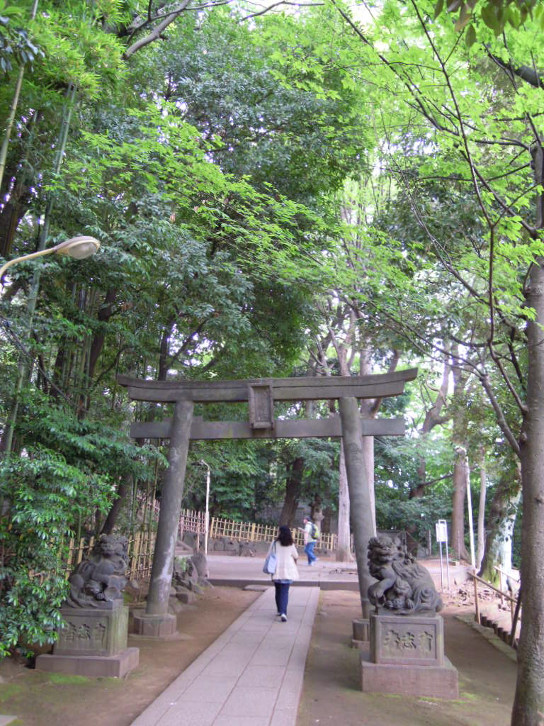 e0081334_16832.jpg