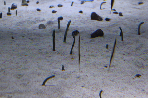 d0214638_2344194.jpg
