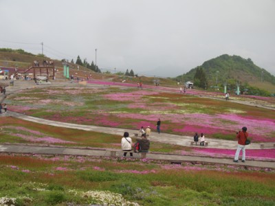 c0119142_537518.jpg