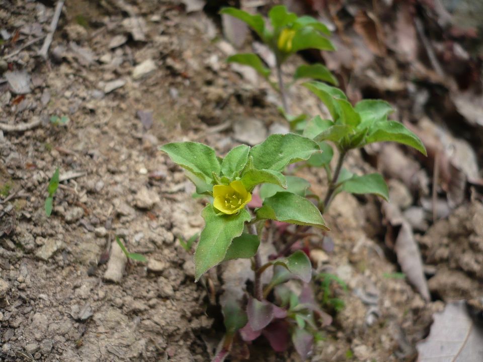 f0090444_22365060.jpg