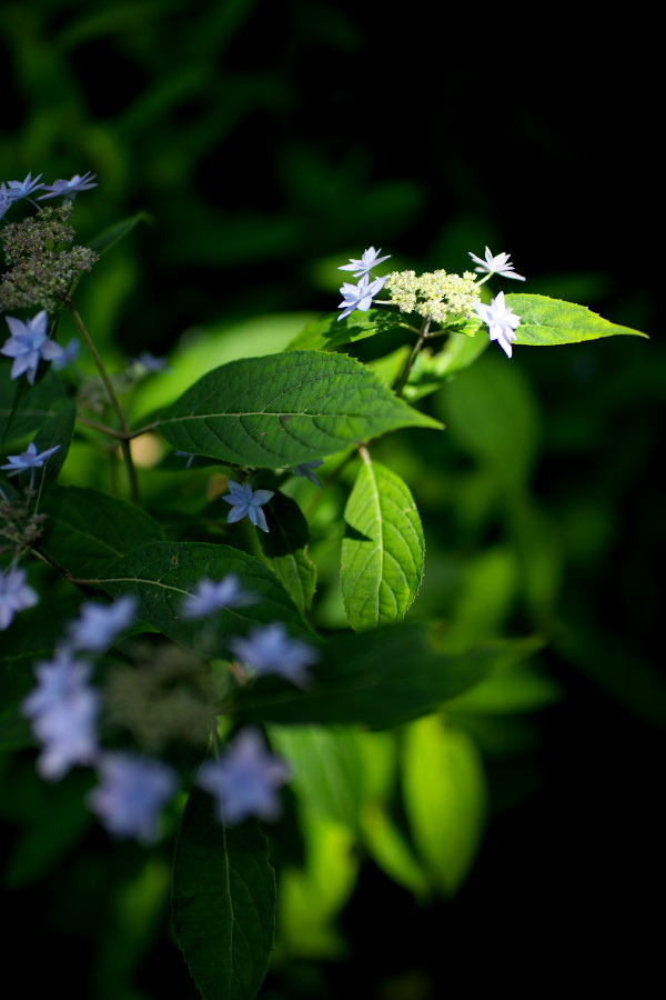 d0001745_23291098.jpg
