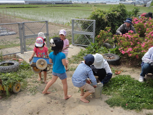 よもぎ団子作りと園庭整備！_a0180348_16392616.jpg