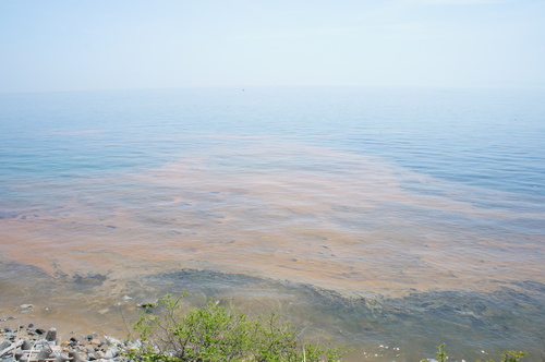 d0226154_233911.jpg