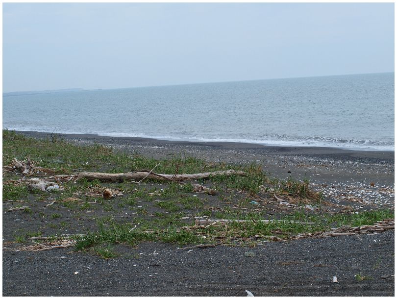 浜田浦にサヨナラ_f0074956_7231454.jpg