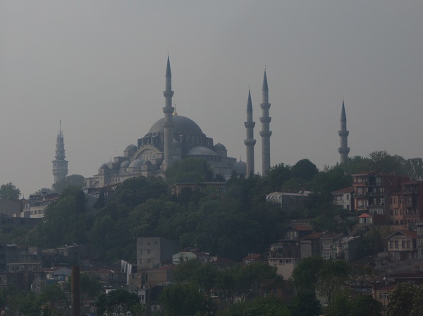 d0081357_1765126.jpg