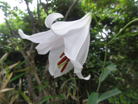 c0108460_115697.jpg