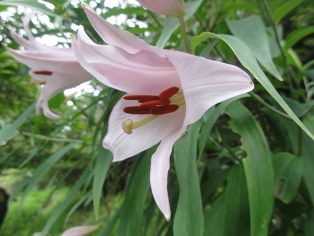 c0108460_153944.jpg
