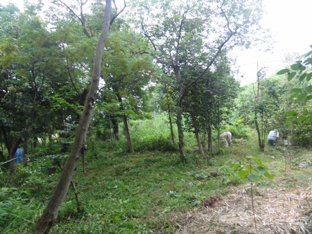c0108460_18142930.jpg