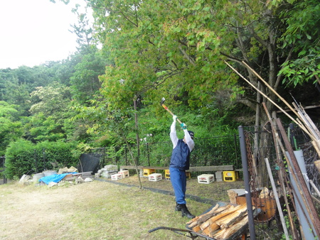 c0108460_18152833.jpg
