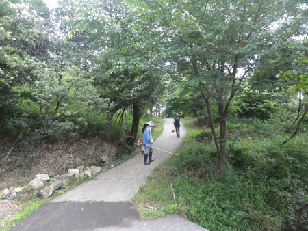 c0108460_18174567.jpg