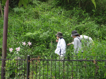 c0108460_18224574.jpg